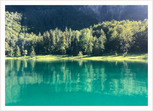 Main image Klöntalersee trees