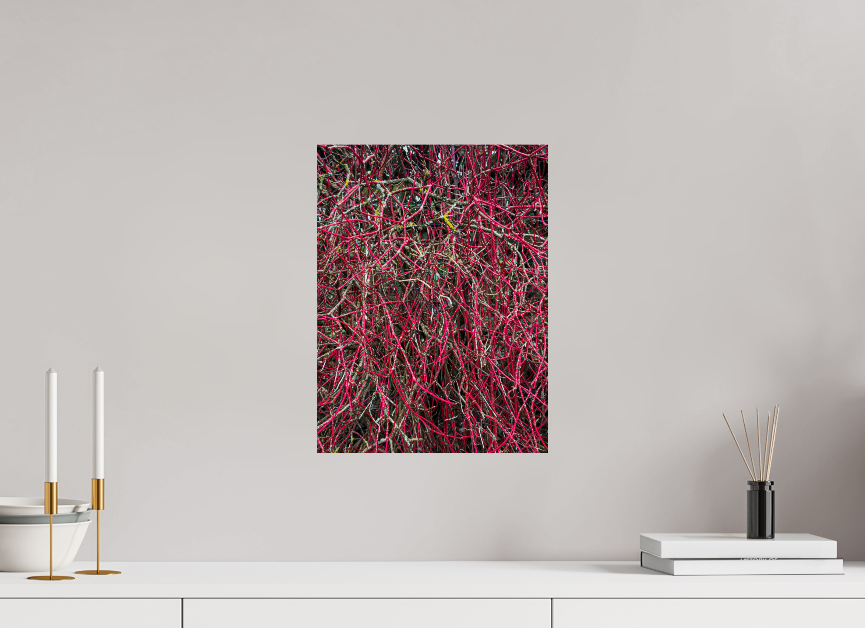 30 x 40 cm, Photo Print Under Acrylic Glass Entanglement