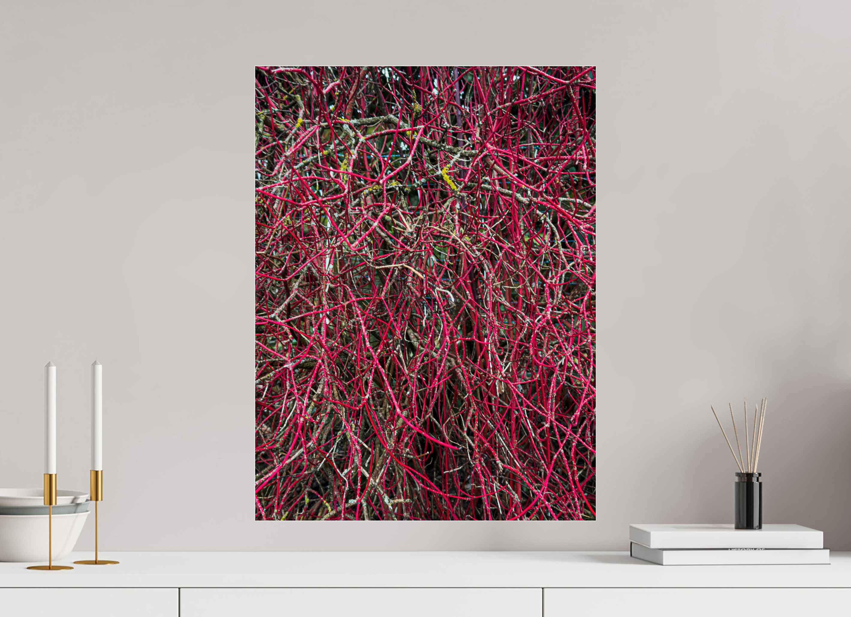 45 x 60 cm, Photo Print Under Acrylic Glass Entanglement