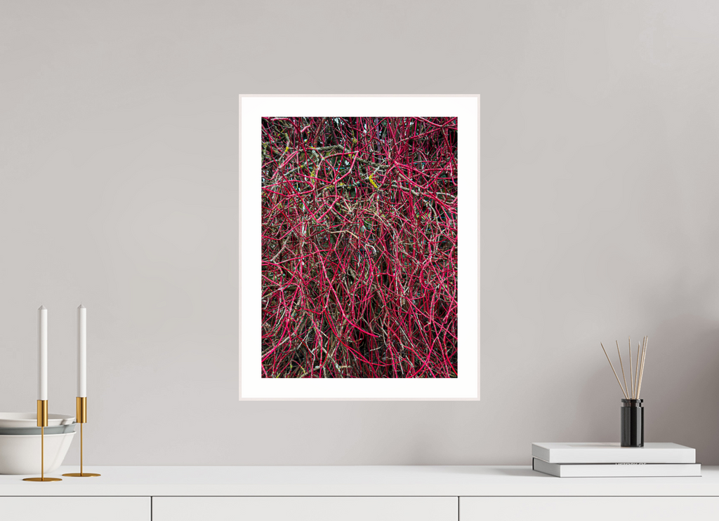 30 x 40 cm, Standard Entanglement